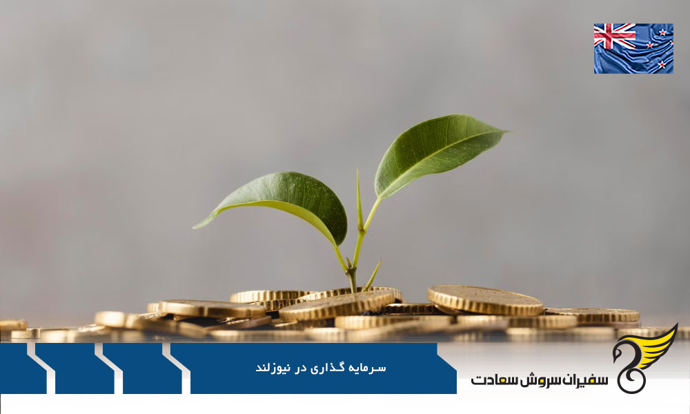 خرید دفتر تجاری در نیوزلند