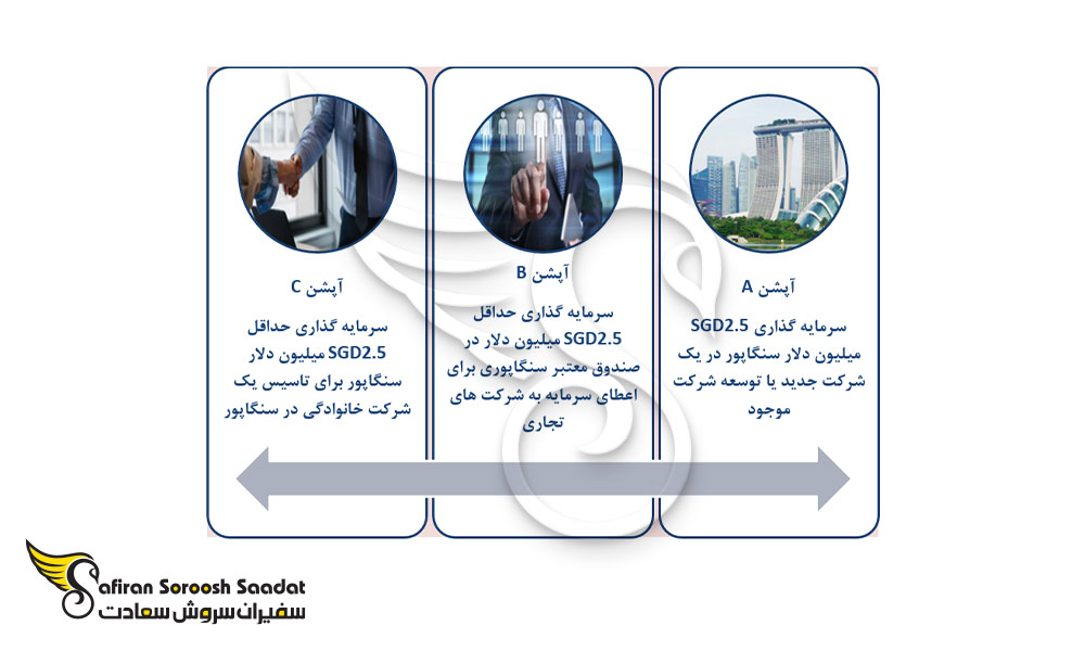 آپشن های مختلف برنامه سرمایه گذار جهانی سنگاپور