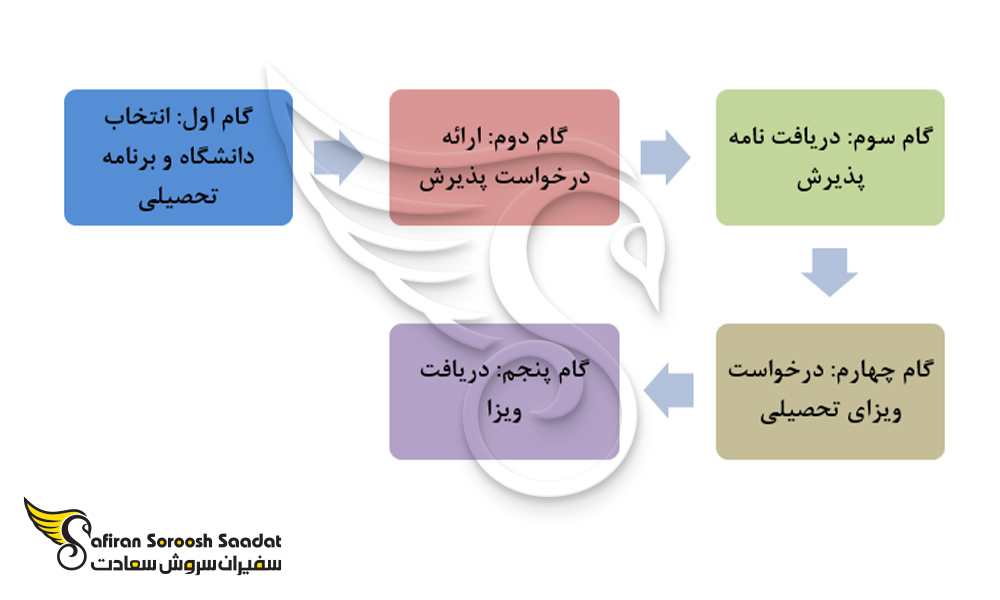 راهنمای گام به گام مهاجرت تحصیلی