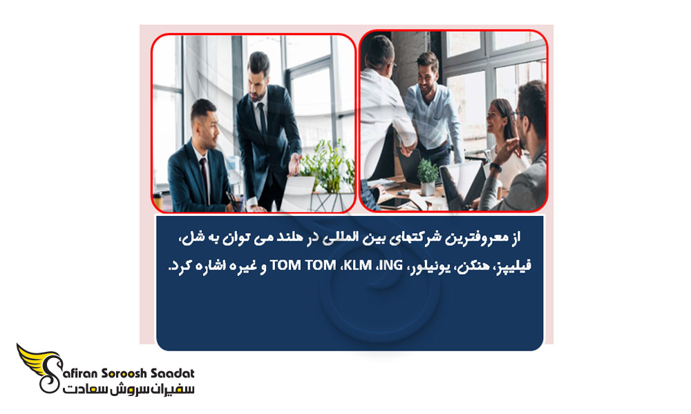 شرکت های بین المللی در هلند