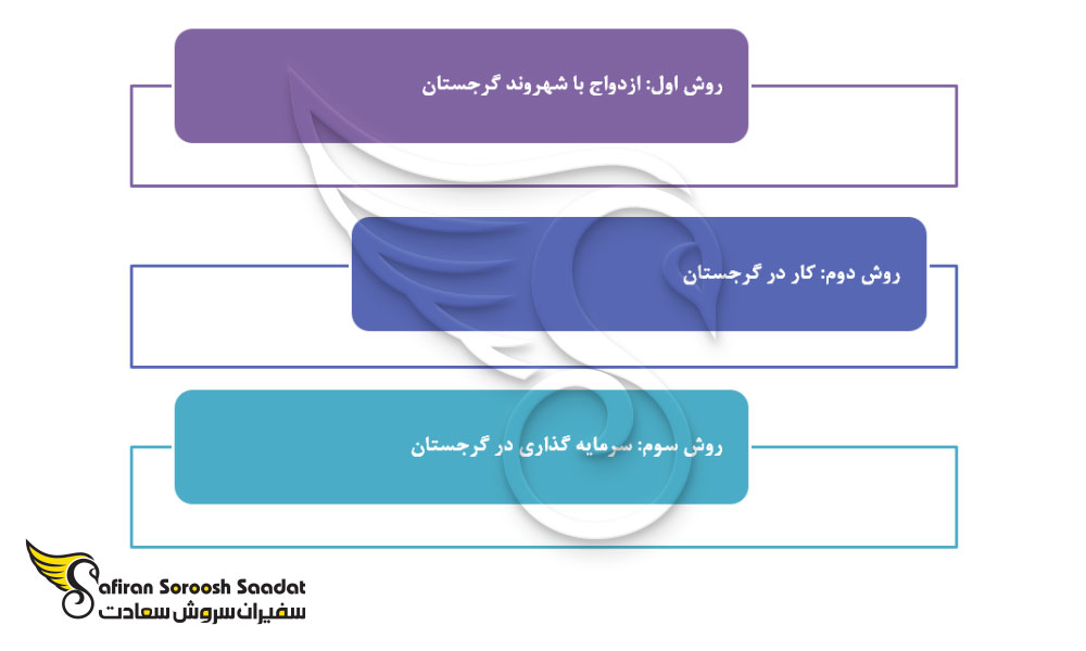 روش های اخذ اقامت گرجستان