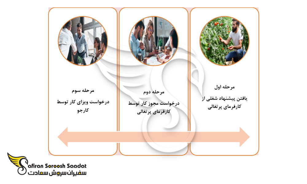 فرآیند کلی درخواست ویزای کار پرتغال