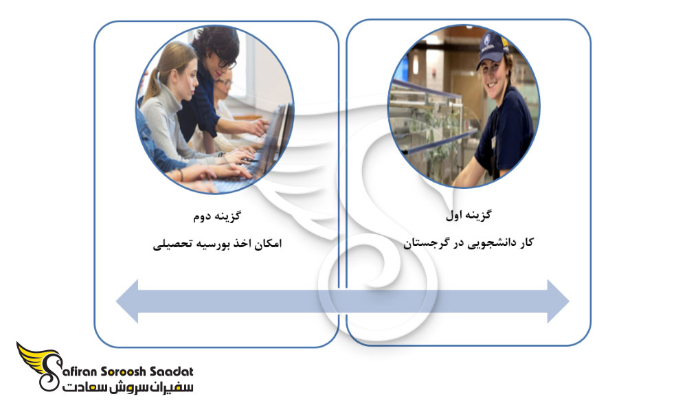 گزینه های دانشجویان برای تامین هزینه تحصیلی در گرجستان