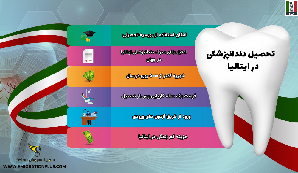 اینفوگرافیک تحصیل دندانپزشکی در ایتالیا