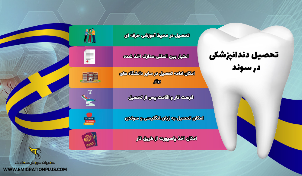 اینفوگرافیک تحصیل دندانپزشکی در سوئد