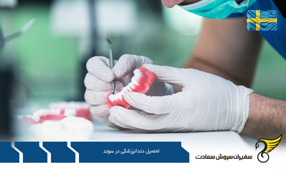 بورسیه جهت تحصیل دندانپزشکی در سوئد