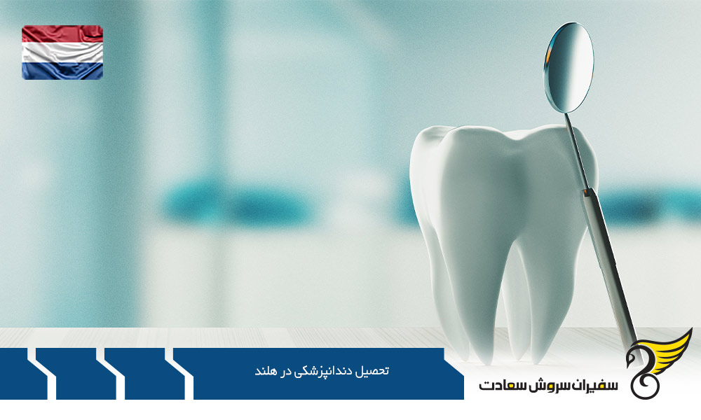مزایای تحصیل رشته دندانپزشکی در هلند