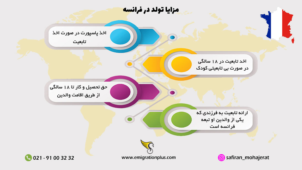 اینفوگرافیک تولد در فرانسه