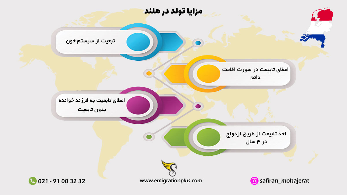 اینفوگرافیک تولد در هلند