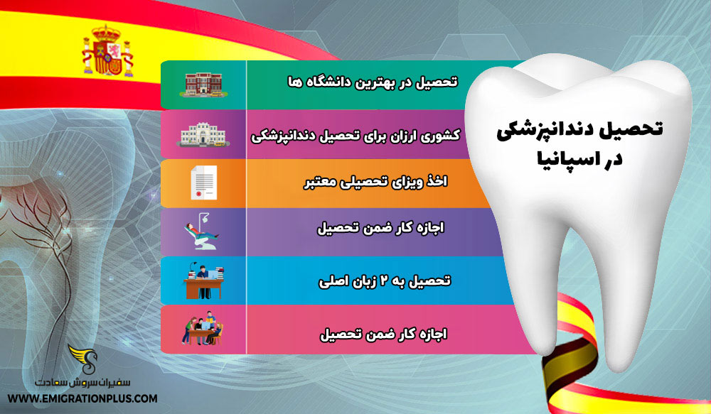 اینفوگرافیک تحصیل دندانپزشکی در اسپانیا