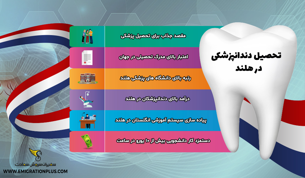 اینفوگرافیک تحصیل دندانپزشکی در هلند