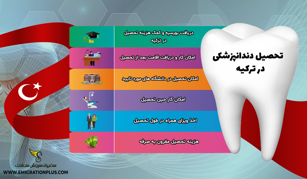 اینفوگرافیک تحصیل دندانپزشکی در ترکیه
