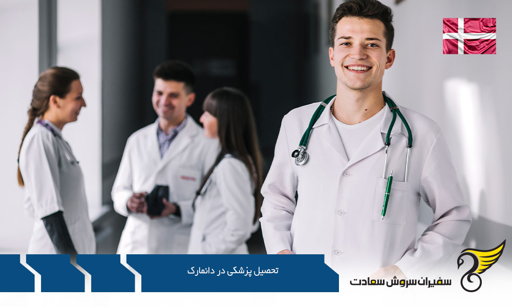 زبان تحصیل پزشکی در دانمارک