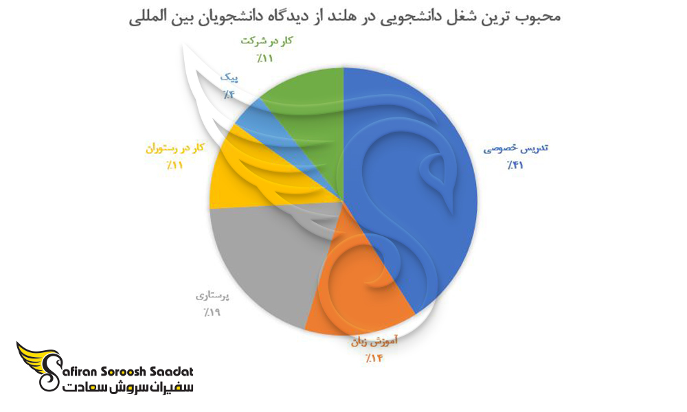 محبوب ترین شغل دانشجویی در هلند