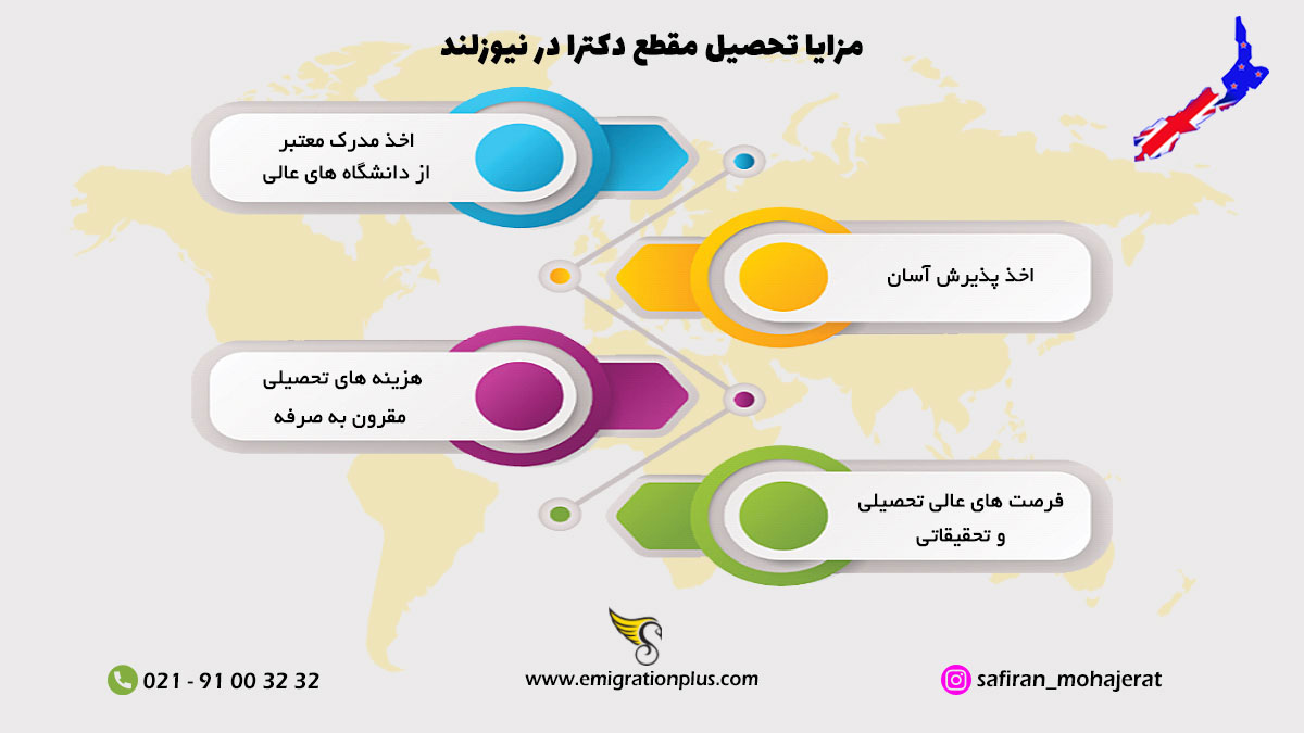 اینفوگرافیک دکتری در نیوزلند