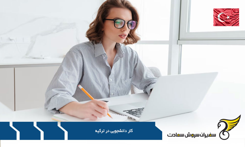قوانین کار دانشجویی در ترکیه