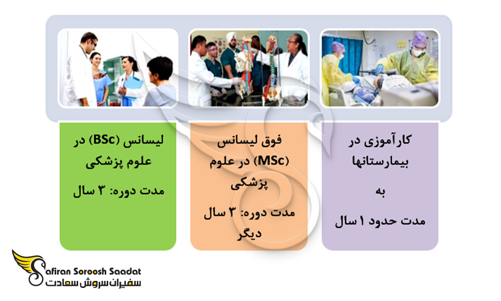 مراحل تحصیل پزشکی در هلند
