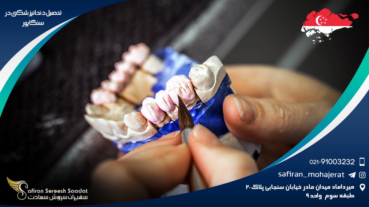 تحصیل دندانپزشکی در سنگاپور