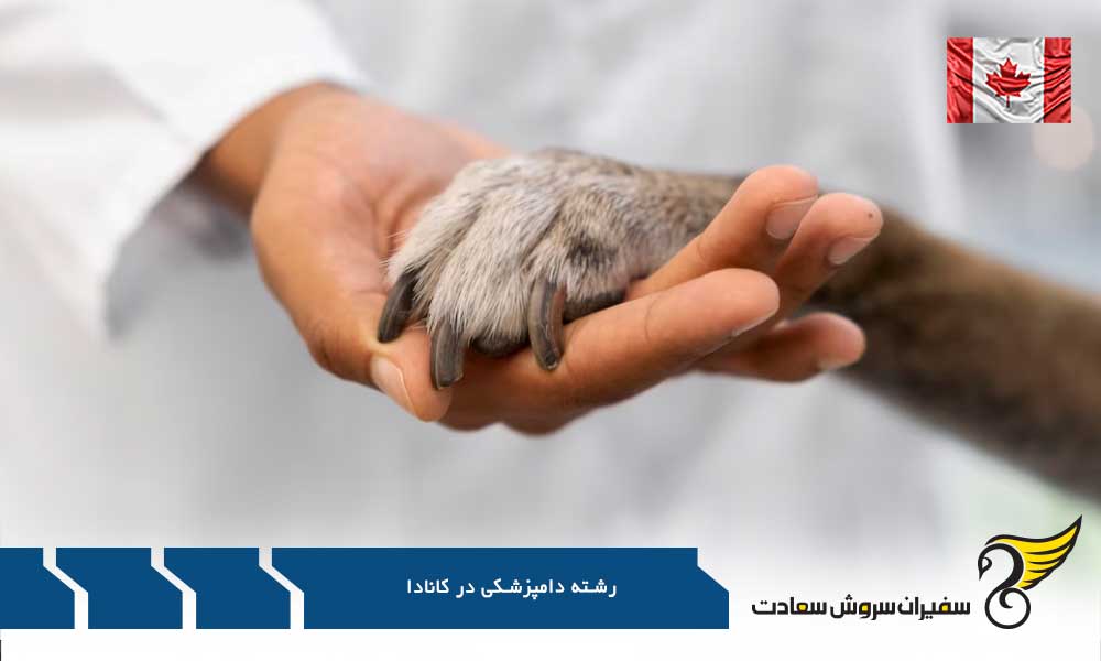 شرایط تحصیل رشته دامپزشکی در کانادا