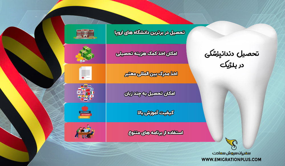 اینفوگرایک تحصیل دندانپزشکی در بلژیک