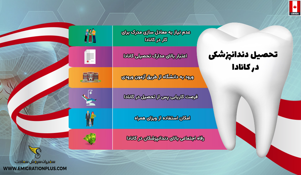 اینفوگرافیک تحصیل دندانپزشکی در کانادا