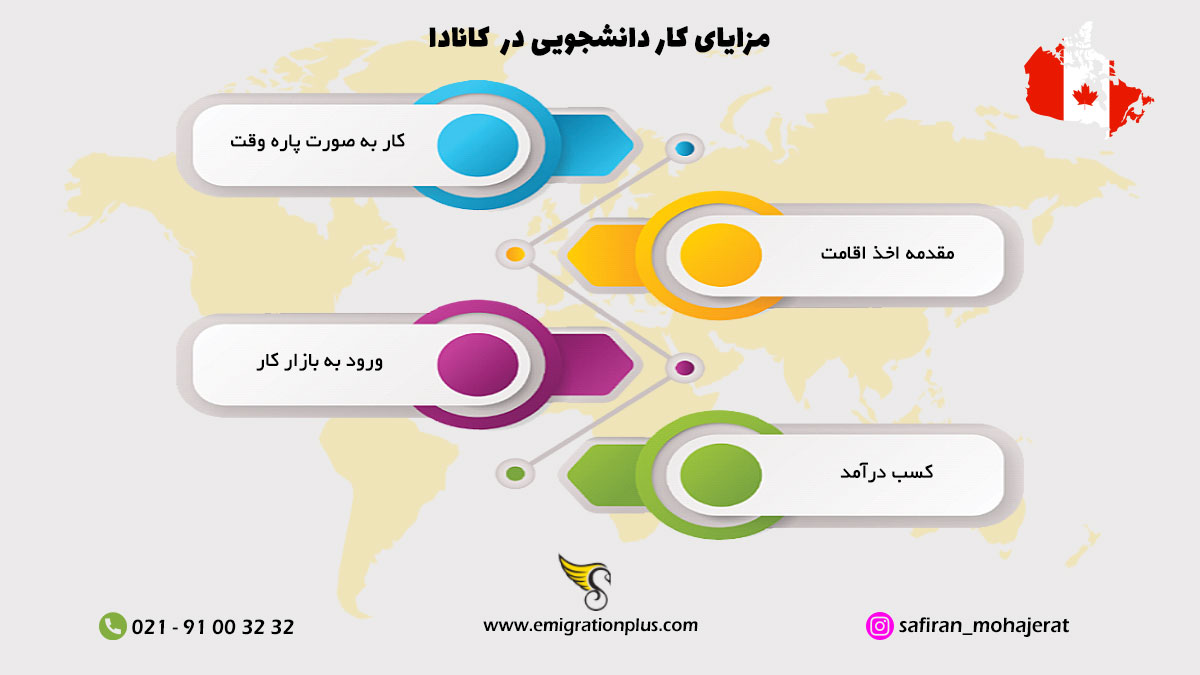 اینفوگرافیک کار دانشجویی در کانادا