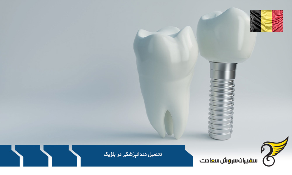 برترین مکان برای تحصیل دندانپزشکی در بلژیک