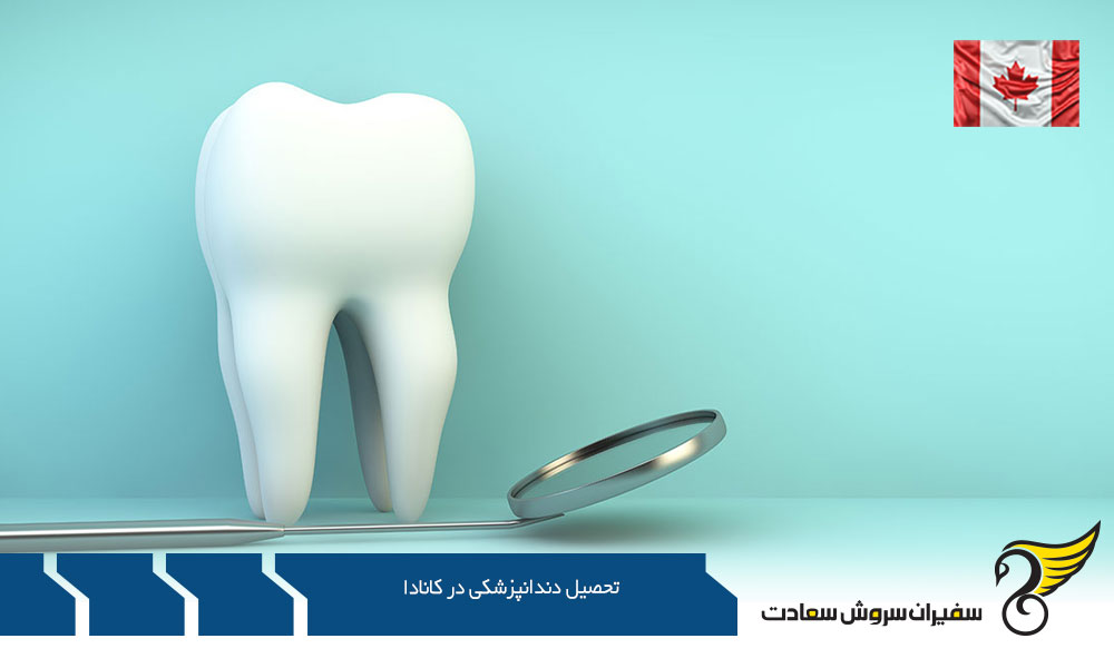هزینه تحصیل دندانپزشکی در دانشگاه آلبرتا کانادا