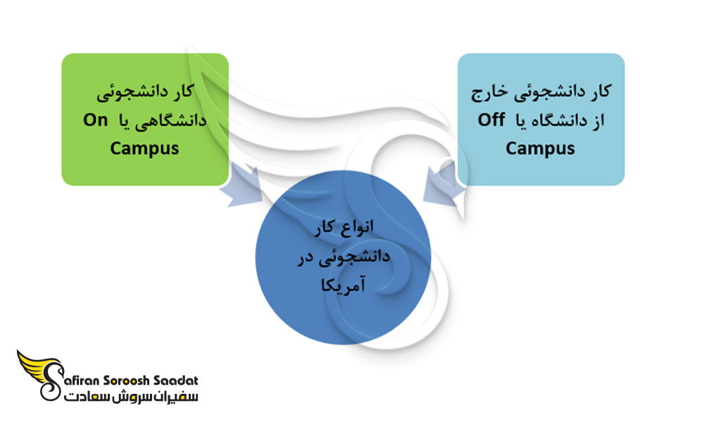 انواع کار دانشجوئی در آمریکا