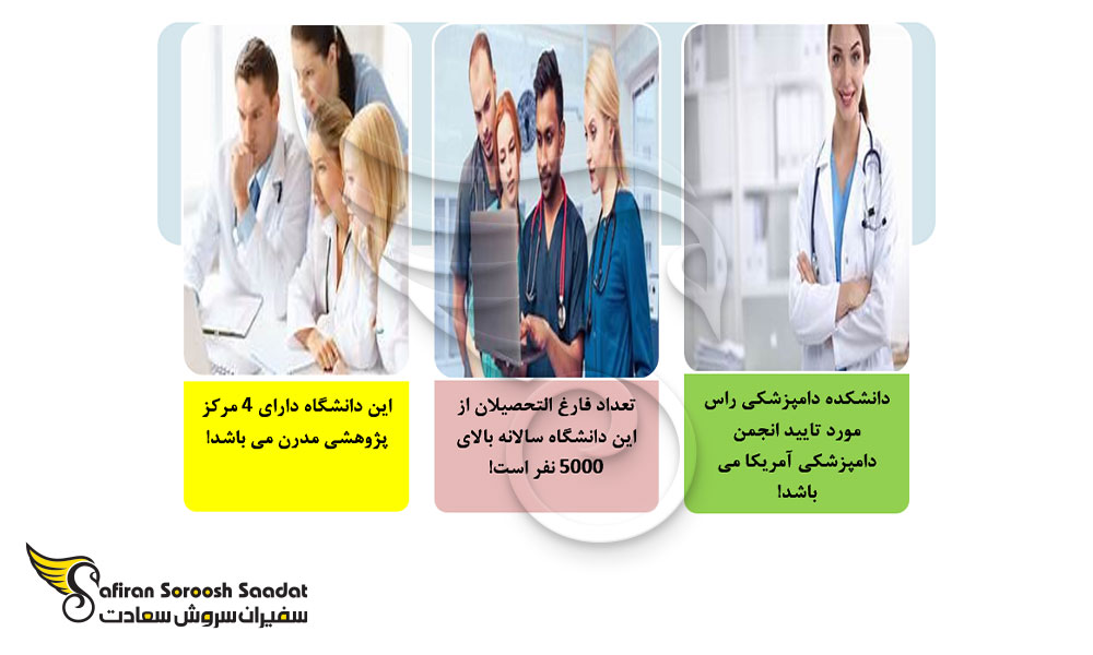 دلایل انتخاب دانشگاه راس برای تحصیل دامپزشکی