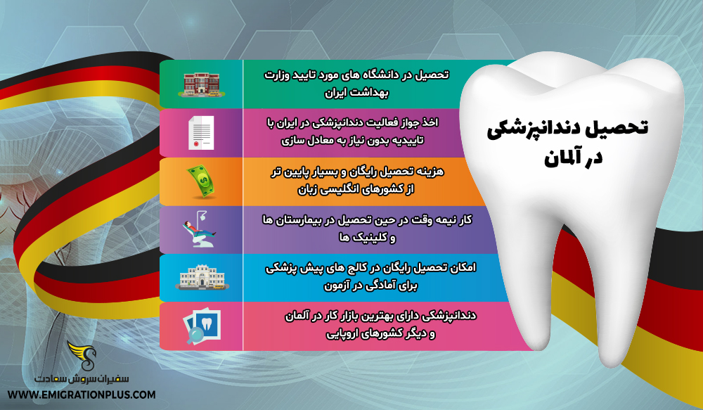 اینفوگرافیک تحصیل دندانپزشکی در آلمان
