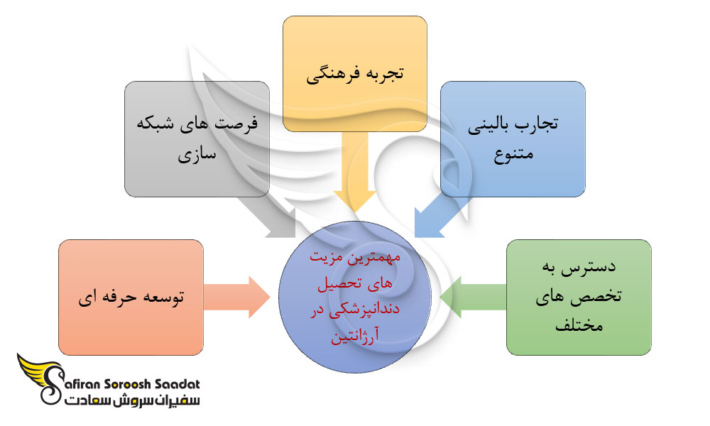 مهمترین مزیت های تحصیل دندانپزشکی در آرژانتین