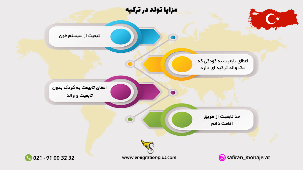 اینفوگرافیک تولد در ترکیه