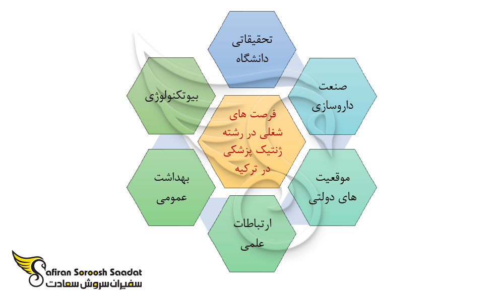 فرصت های شغلی در رشته ژنتیک پزشکی در ترکیه