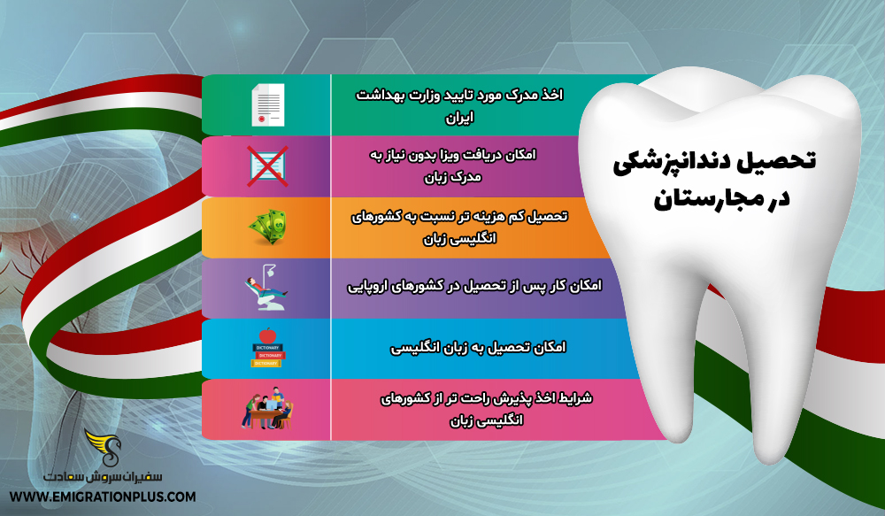 اینفوگرافیک تحصیل دندانپزشکی در مجارستان
