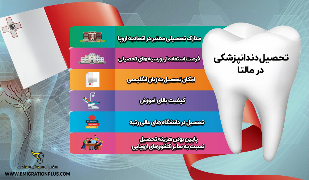 اینفوگرافیک تحصیل دندانپزشکی در مالتا