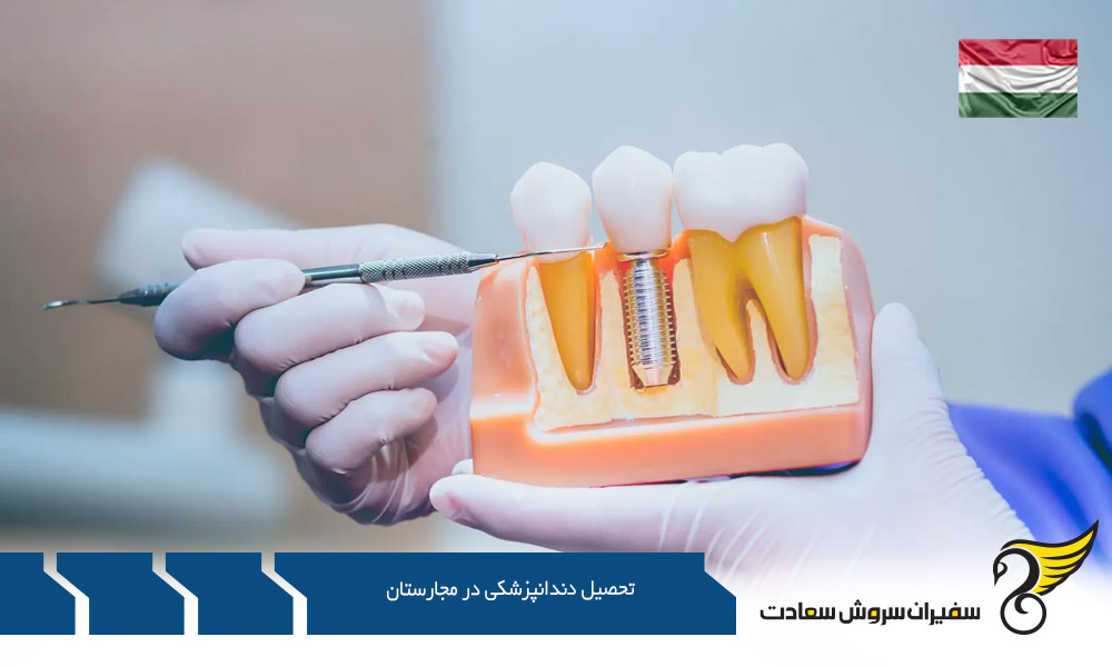 دانشگاه­ های پزشکی و دندانپزشکی در مجارستان