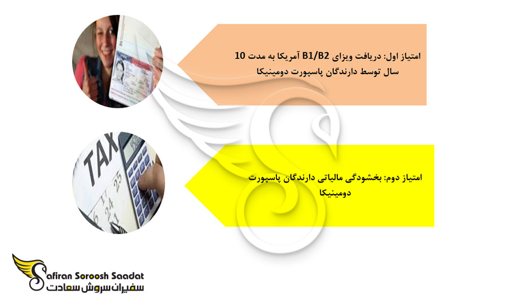 امتیازات خاص سرمایه گذاری در دومینیکا