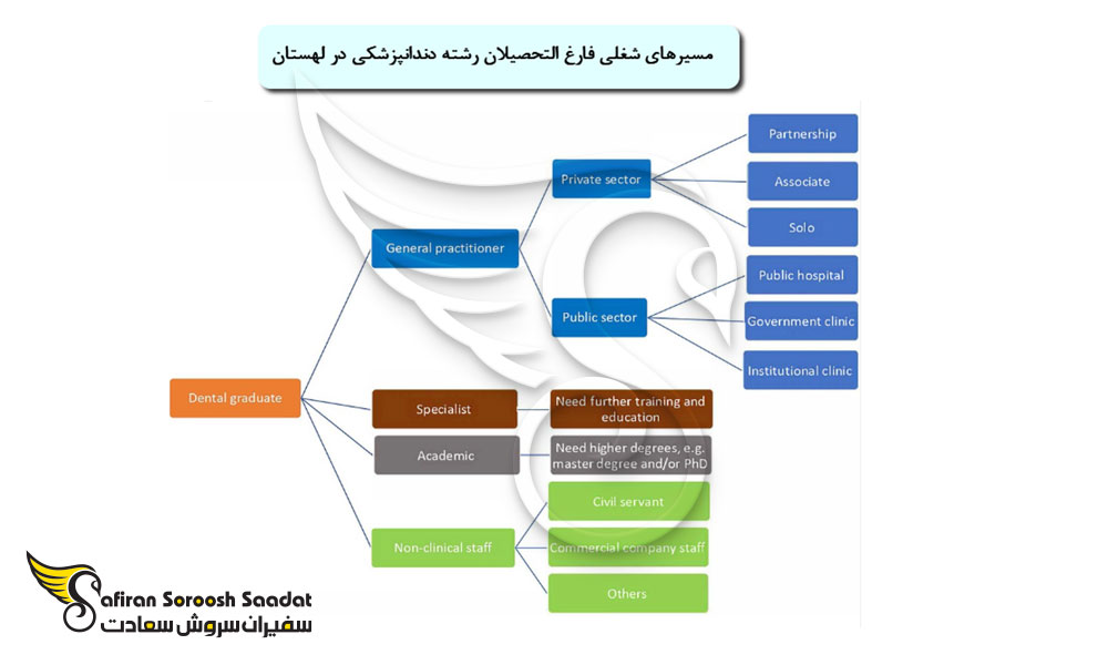 چالش های اساسی تحصیل دندانپزشکی در لهستان