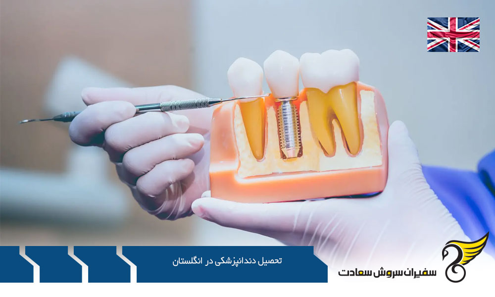 اشتغال پس از اتمام تحصیل دندانپزشکی در انگلستان