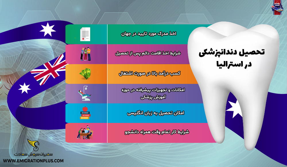 اینفوگرافیک تحصیل دندانپزشکی در استرالیا