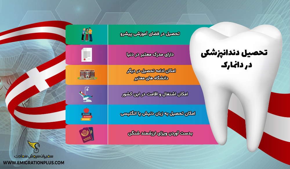 اینفوگرافیک تحصیل دندانپزشکی در دانمارک
