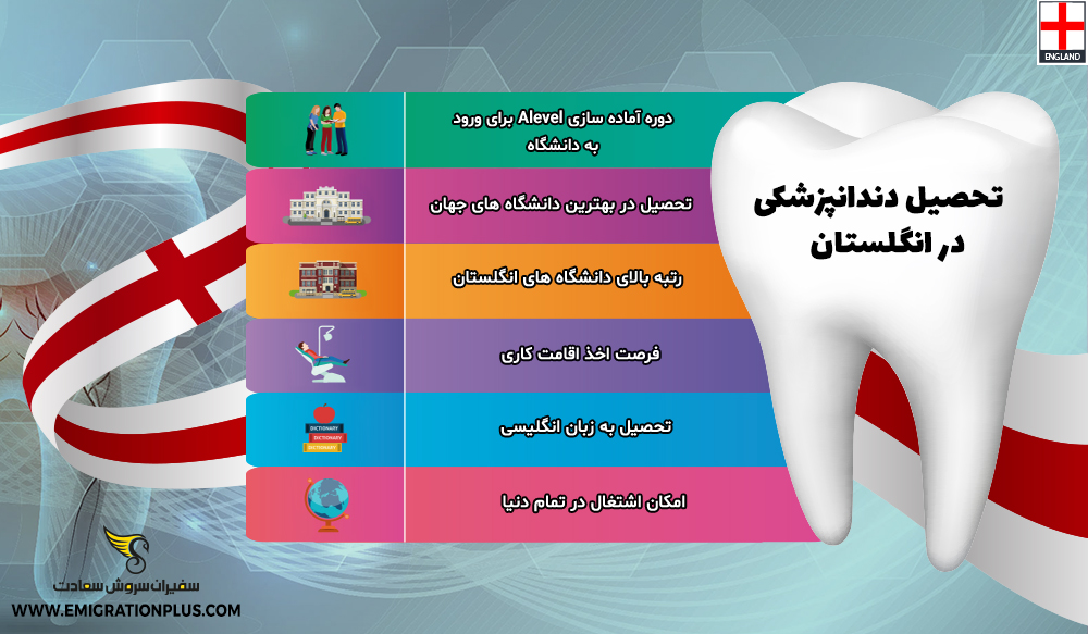 اینفوگرافیک تحصیل دندانپزشکی در انگلستان