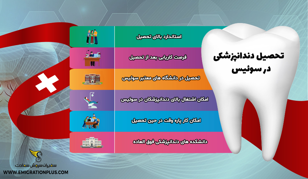 اینفوگرافیک تحصیل دندانپزشکی در سوئیس