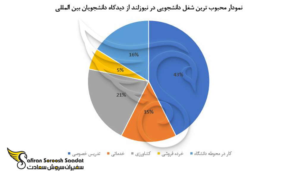 محبوب ترین شغل دانشجویی در نیوزلند