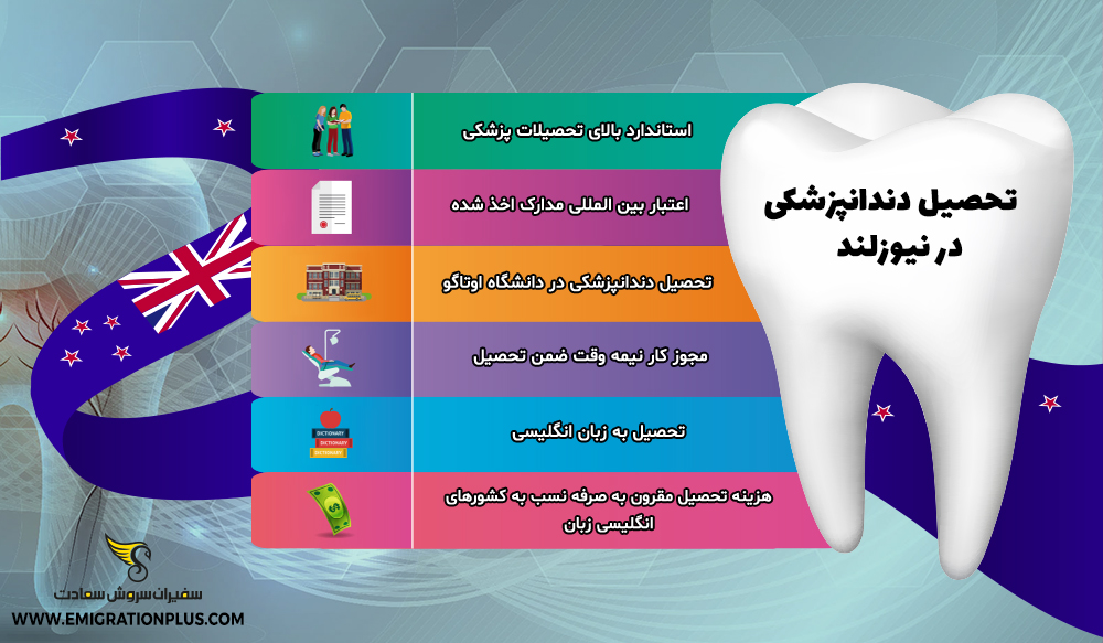 اینفوگرافیک تحصیل دندانپزشکی در نیوزلند