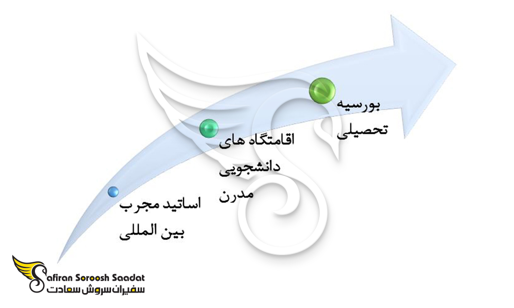 دلایل تحصیل دندانپزشکی در نیوزلند