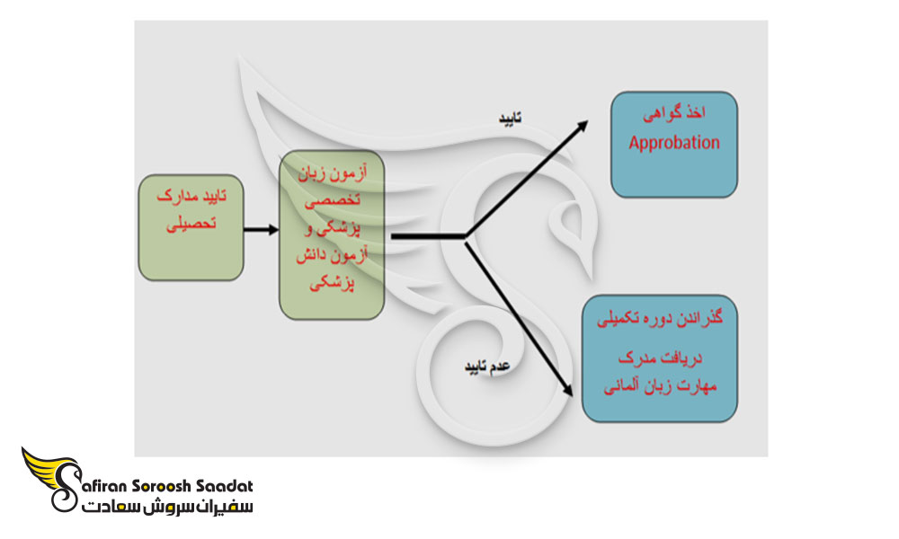 شرایط معادل سازی مدرک دندانپزشکی در آلمان