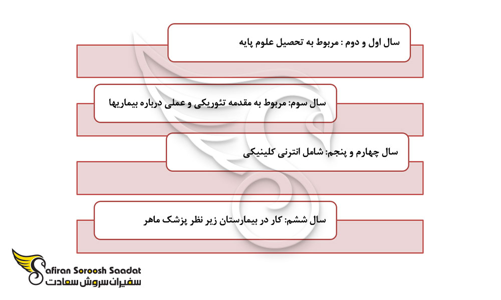 ساختار آموزش پزشکی در دانشگاه های ترکیه ای