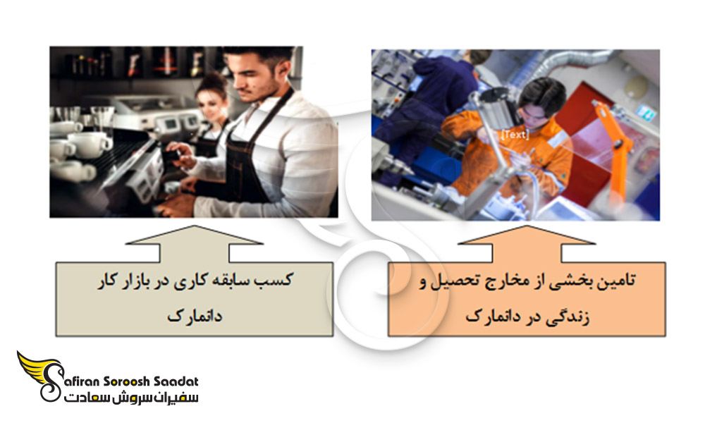 دو هدف اصلی کار در دانمارک